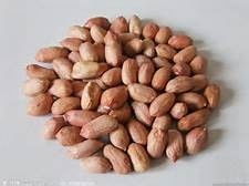 食物營養(yǎng)冠軍榜——干果 小小的能量庫，大大的健康寶